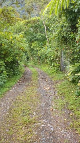 FINCA vendo  Manabí  Ecuador cerca a Pedernales  