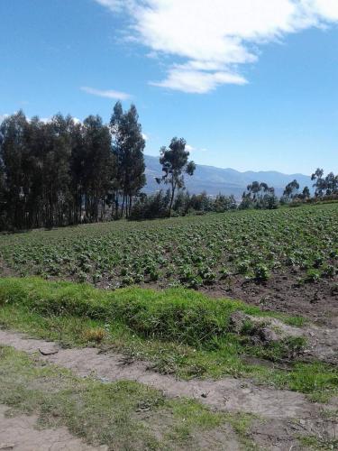 HERMOSO TERRENO APTO PARA CASA DE CAMPO EN ATUNTAQUI