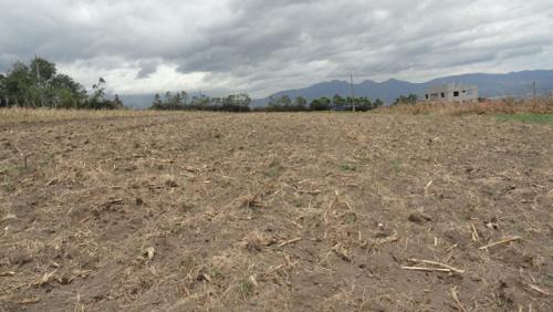 VENDO TERRENO DE 3200 M2 EN SAN ROQUE SECTOR EL CEROTAL