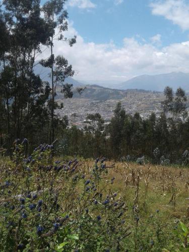 DOS HECTÁREAS A 10 MINUTOS DEL CENTRO DE OTAVALO