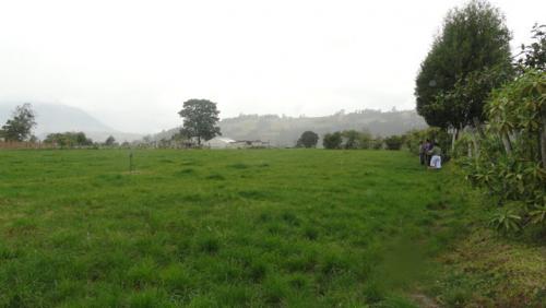 SE VENDE EN OTAVALO 1 HECTAREA DE TERRENO