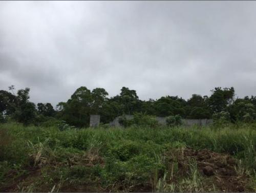 Terreno de venta en el sector Tomas de Berlanga, Isla Santa Cruz, Galápagos