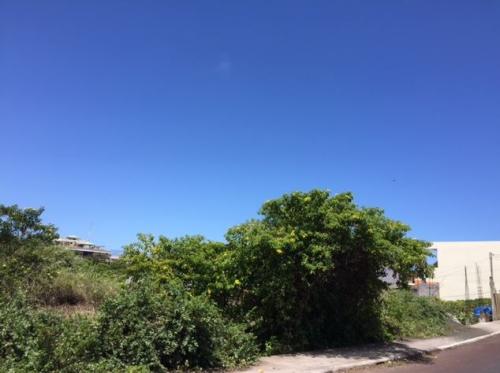 Terreno de venta en las ninfas, cerca de la escuela San Francisco, Isla Santa Cruz, Galapagos
