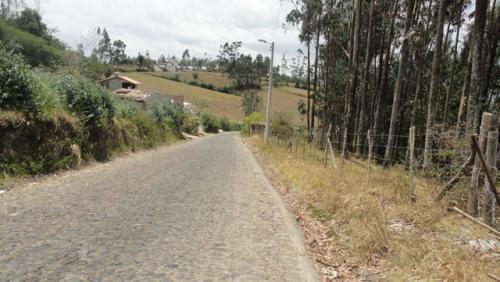 SE VENDE O SE ARRIENDA TERRENO DE 7.997.66 M2 EN OTAVALO SECTOR YAMBIRO