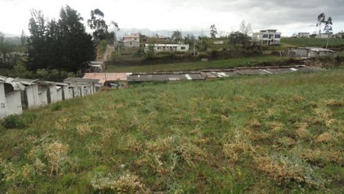 Se vende terreno de 12.000 m2, en Otavalo
