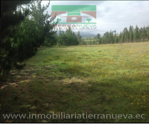 PROPIEDAD 2.7 HECTAREAS EN PESILLO
