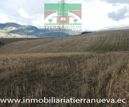 EN VENTA 5 HECTÁREAS PLANAS EN LLANOS DE ALBA