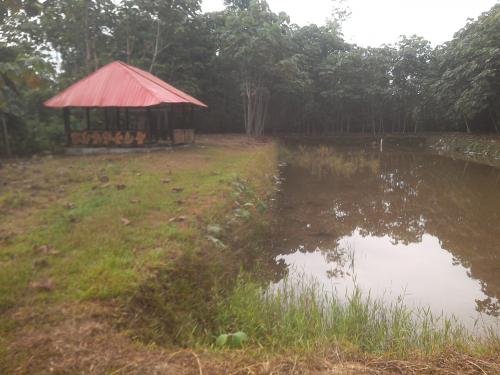 De Oportunidad. Se vende hermosa finca de aproximadamente 5 hectáreas, con proceso turístico al 70 % de avance.