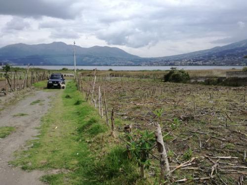 Vendo terreno de 550 m2 en Otavalo en el sector El Desaguadero