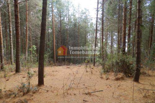LOTES EN VENTA SECTOR NABÓN - GUALEL