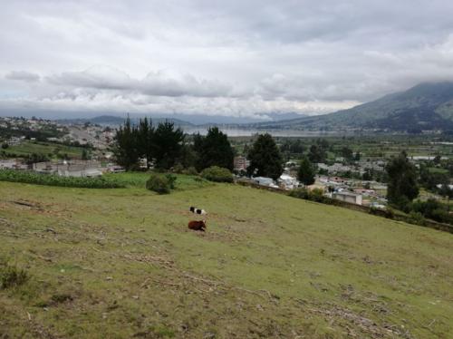 Vendo terreno en Otavalo en el sector de Gonzales Suarez