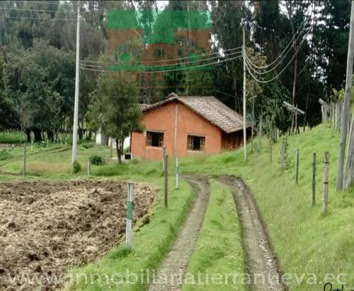 13 HECTÁREAS EN ZULETA