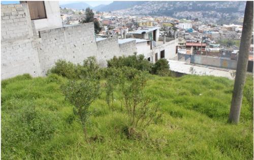 Terreno 362 m2 de oportunidad Sector Loma de Puengasi / Urb. Obrero Independiente