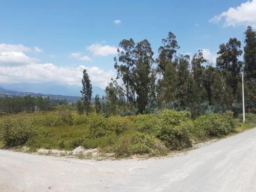 Vendo terreno en cotacachi sector la compañía 