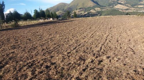 TERRENO CON VIVIENDA EN OBRA NEGRA  EN LOMA GORDA-TABACUNDO