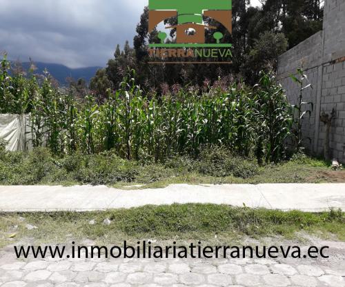 TERRENO EN EL CENTRO DE OTAVALO