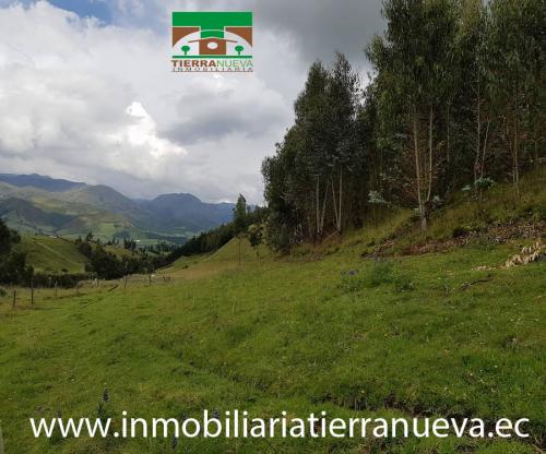 EN VENTA 2 HECTAREAS EN EL CHAUPI