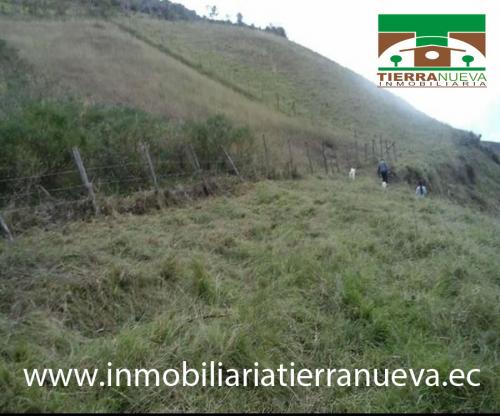 VENDO UN TERRENO EN LA COMUNIDAD IMBABUELA DE OTAVALO