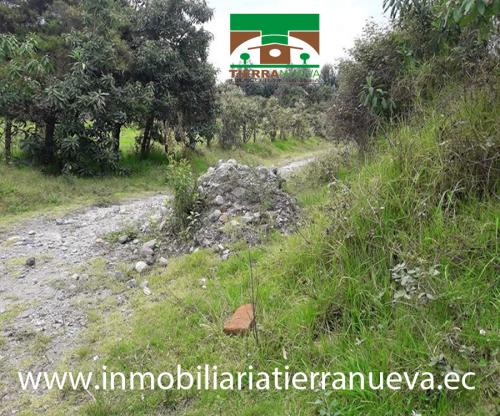 EN VENTA 10 HECTAREAS A 5MINUTOS DE OTAVALO