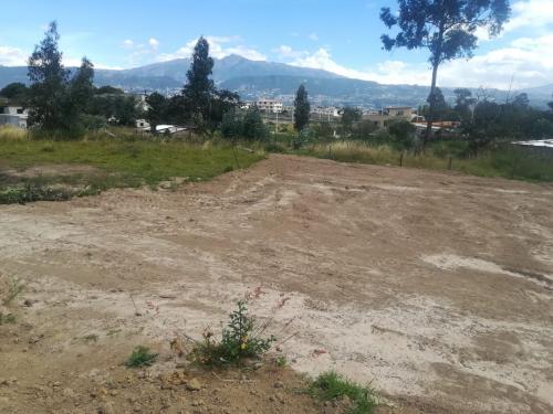 VENDO 300 M2 EN TUMBACO CERCA A RUTA VIVA