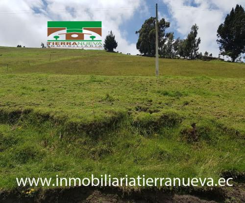 EN VENTA TERRENO DE 1.6 HECTÁREAS EN OLMEDO – CAYAMBE