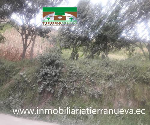 VENDO LOTE DE TERRENO EN QUICHINCHE - OTAVALO