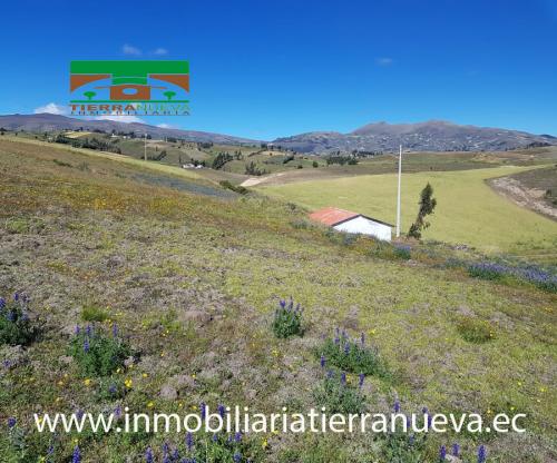 2 HECTÁREAS DE TERRENO CON VIVIENDA PEQUEÑA CERCA DE  GUACHALÁ 