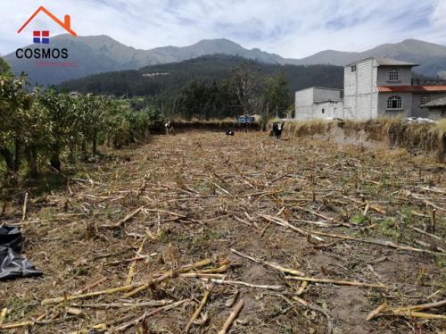 Vendo terreno con casa vieja en Otavalo sector San Pablo del Lago