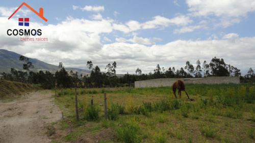 SE VENDE EN COTACACHI 7 LOTES DE 400 M2 EN CUICOCHA PANA – QUIROGA