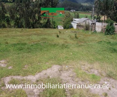 SE VENDE TERRENO PLANO EN AYORA