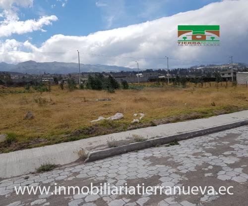 EN VENTA DOS LOTES DE TERRENO EN AYORA