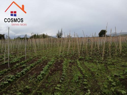 VENTA DE TERRENO EN URCUQUI SECTOR URBANO