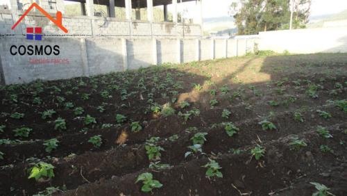 VENTA DE TERRENO EN OTAVALO EN LA CIUDADELA JACINTO COLLAHUAZO