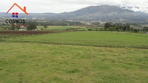 SE VENDE 6 HECTAREAS EN OTAVALO SECTOR PINSAQUI