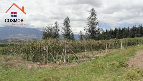 Vendo terreno de 10.200 m2 en Otavalo sector Quinchuqui