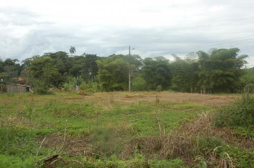 LOTES EN ZONA ESTRATEGICA DE MACAS