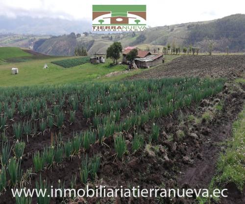 DE OPORTUNIDAD SE VENDE 6 HECTÁREAS EN CANGAHUA