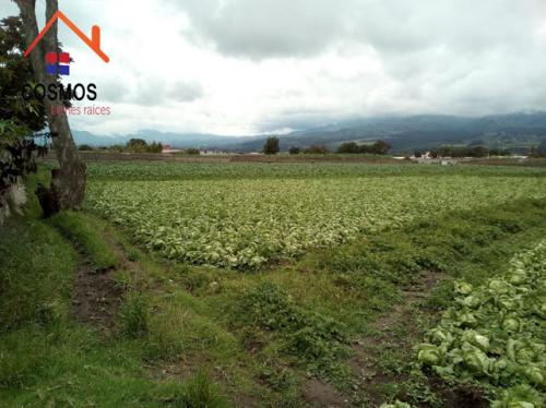 Vendo terreno de 15.000 m2 en Atuntaqui