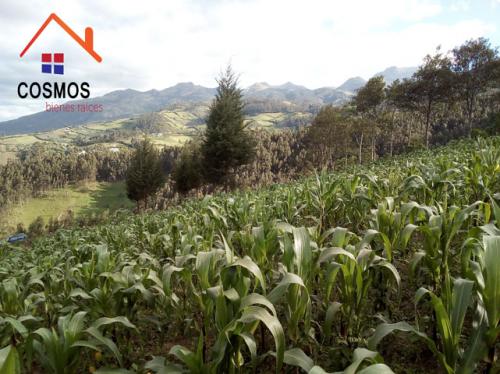 Venta de terreno en Otavalo para casa de campo