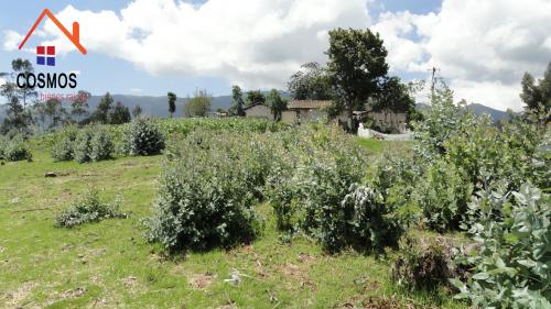 Vendo terreno de una hectarea en Otavalo sector Yambiro
