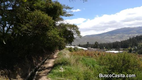 Terreno $ 40.000 , 1020 metros Cuzubamba - Cayambe