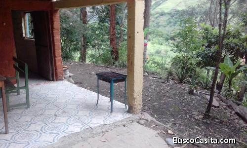 Habitacion La Cabaña