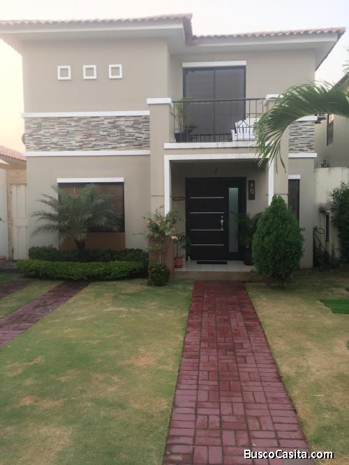 Suite amoblada en Ciudad Celeste