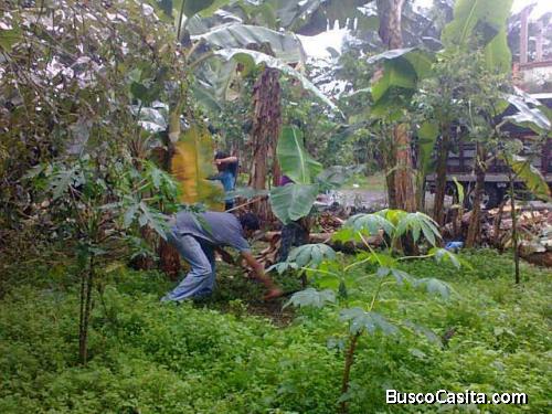 vendo terreno  en el canton buena fe provincia de los rios