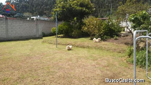 Vendo terreno de 447 m2 en Otavalo  ciudadela Miravalle