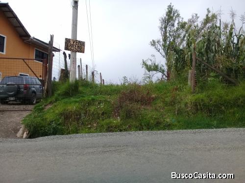 Lote barato sector ricaurte