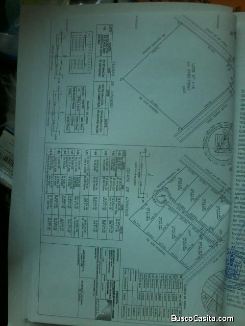 VENDO HERMOSOS LOTES DE TERRENO