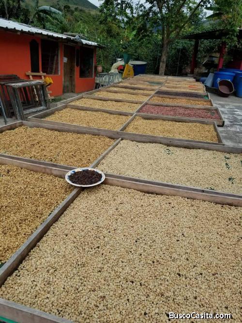 VENTA DE FINCA 