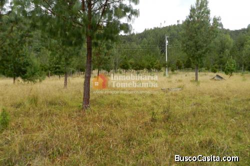 SE VENDE TERRENO DE 386 HECTÁREAS EN NABÓN