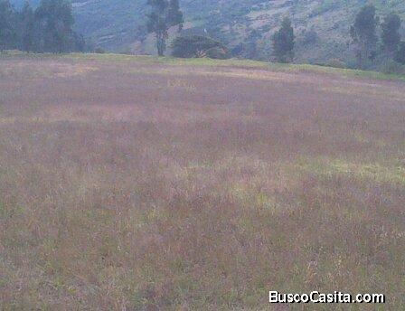 Se vende de oportunidad finca de 12 hectareas